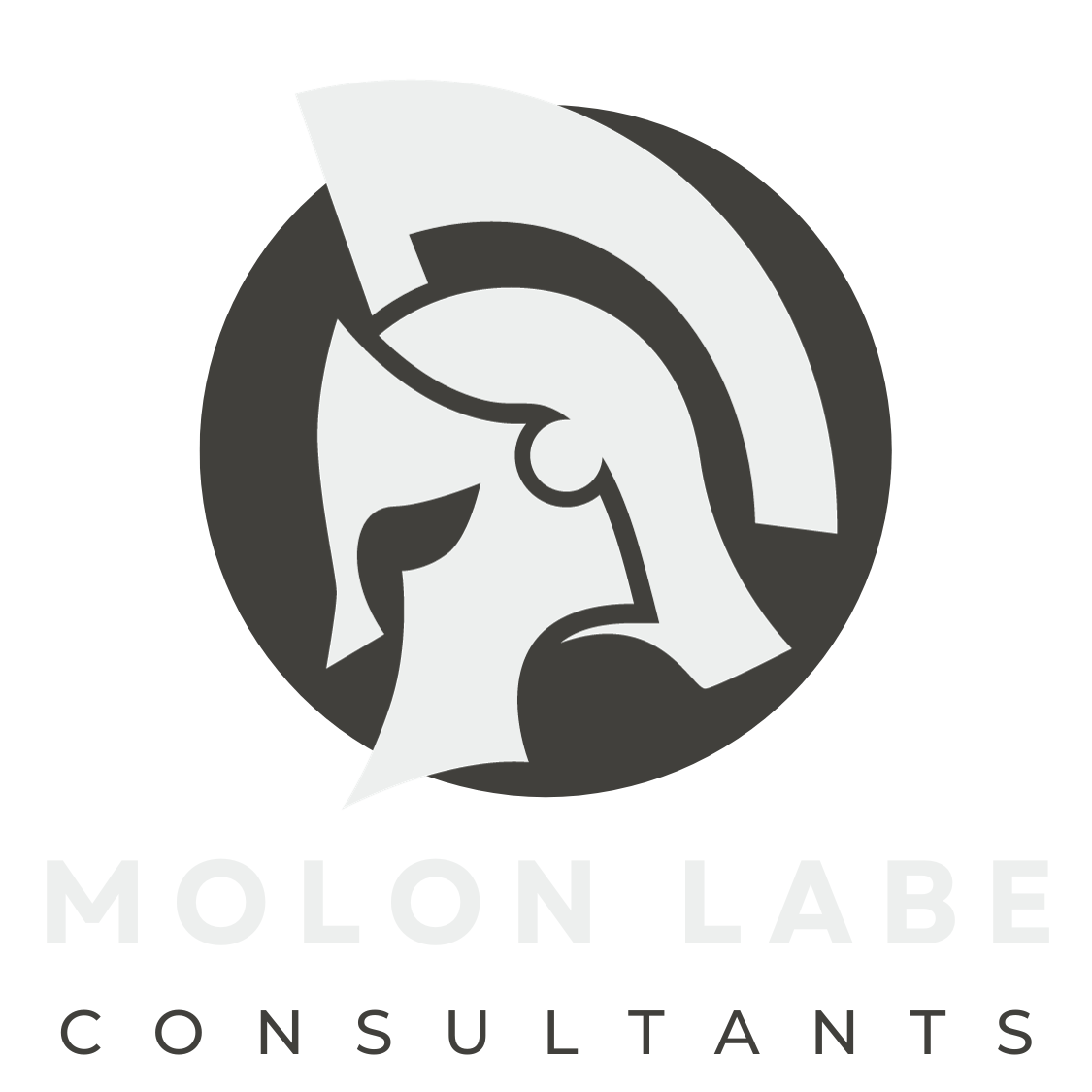 Copie de Copie de Molon Labe Consultants